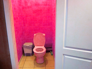 В офисных зданиях теперь появились розовые туалеты для женщин