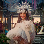 Реклама «Галс-Девелопмент»: чудеса, технологии и котик